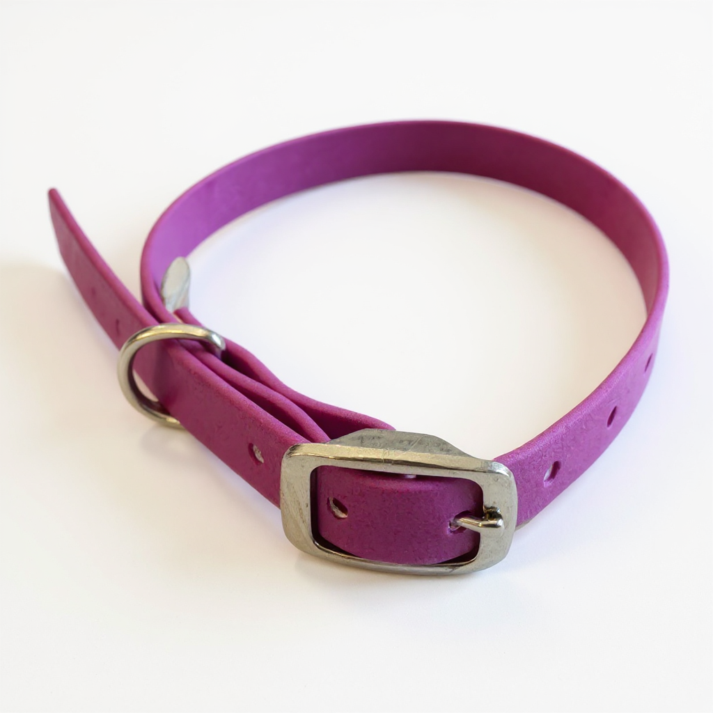 Colliers Toutou Chic